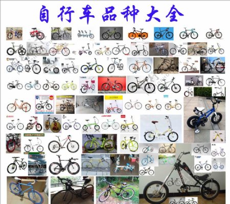 自行车品种大全