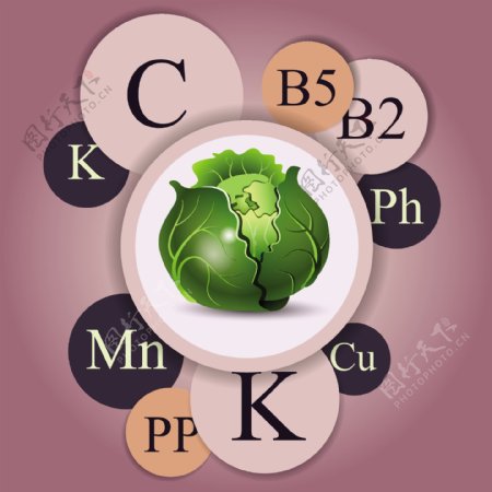 蔬菜维生元素信息图表