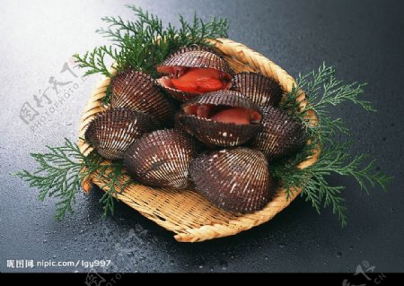 螺子肉背景海产品美食海鲜
