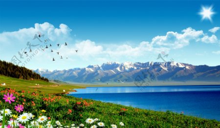 伊犁赛里木湖风景