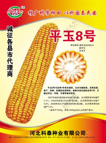 玉米种子宣传单