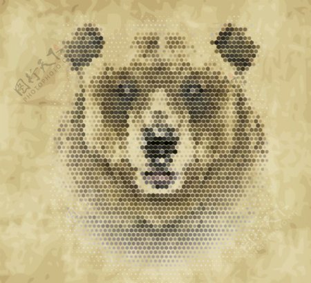 棕熊像素头像