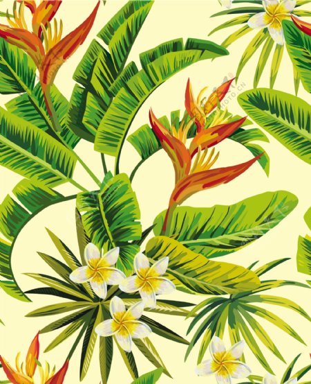 手绘热带植物花卉图案矢量素