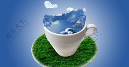 茶杯里的雪山