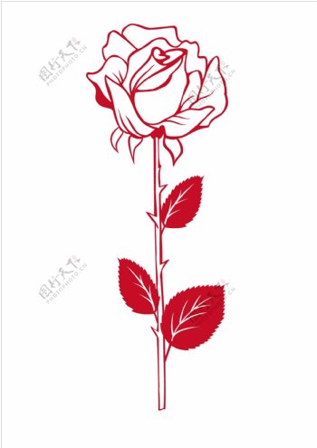 矢量玫瑰花花朵海报边款