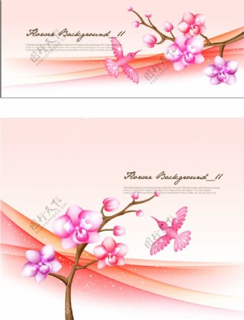 动感曲线粉色桃花花朵
