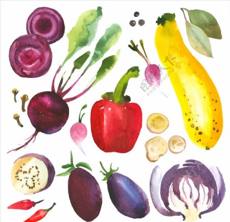 水彩蔬菜水果食品矢量