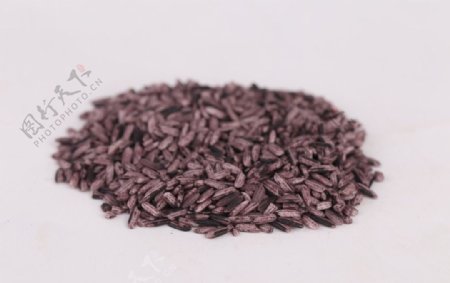 紫米