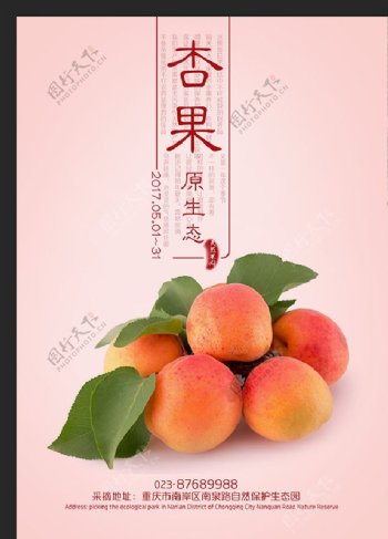 杏水果