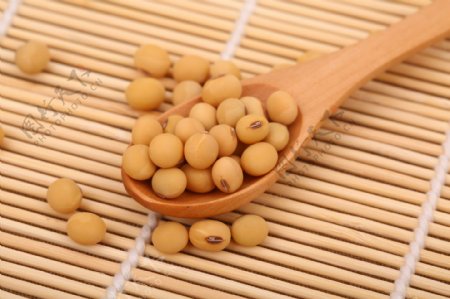 五谷杂粮系列黄豆摄影图