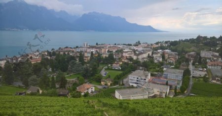 瑞士苏黎世湖边居民区