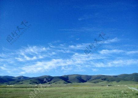 西藏农田