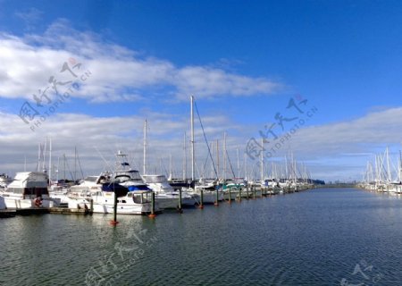 奥克兰游艇码头风景