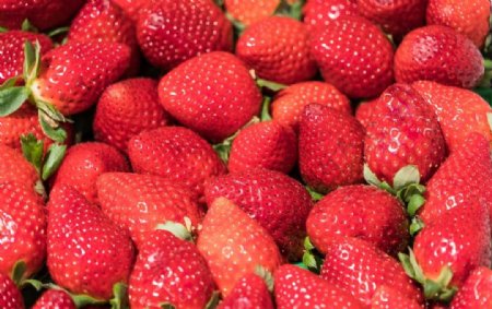高清新鲜草莓