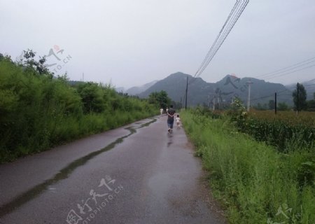 雨后的乡村路
