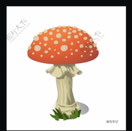 蘑菇飞木耳红色有毒自然