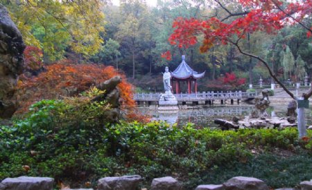 栖霞山红叶栖霞古寺