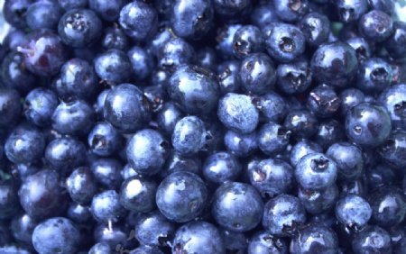 蓝莓水果大图