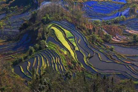 元阳梯田