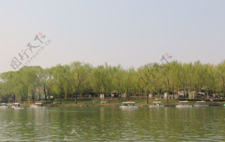春湖绿水