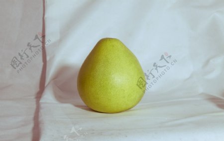 白色柚子