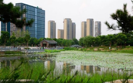 郑州南环公园景观
