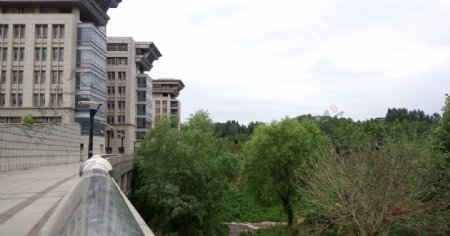 济南大学的景色