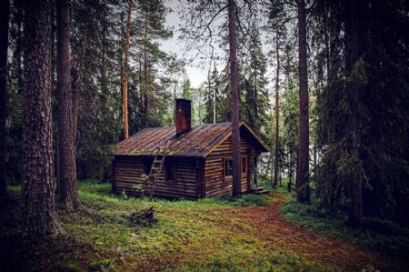 森林房屋