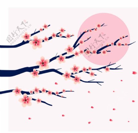 春季红日樱花插图背景
