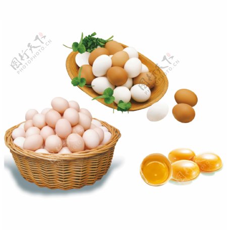 鸡蛋素材