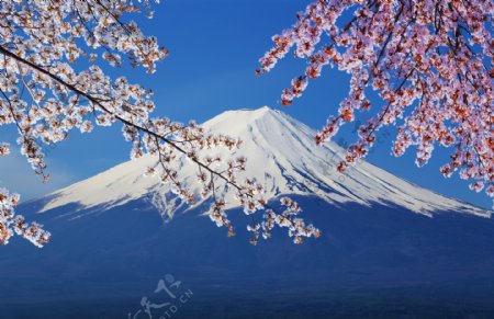 日本富士山