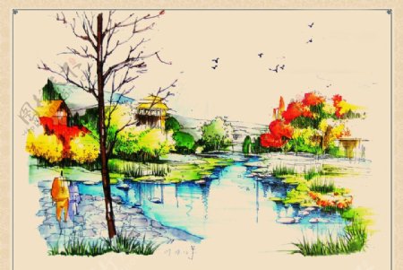 湿地景观手绘效果图