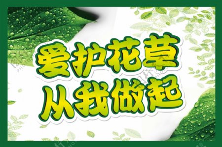 爱护花草从我做起