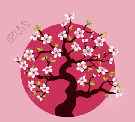 盛开的粉色樱花树矢量素材