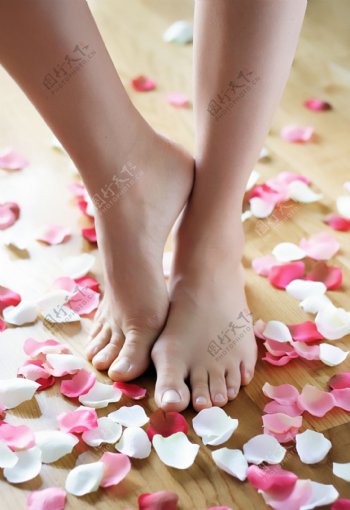 脚与花瓣