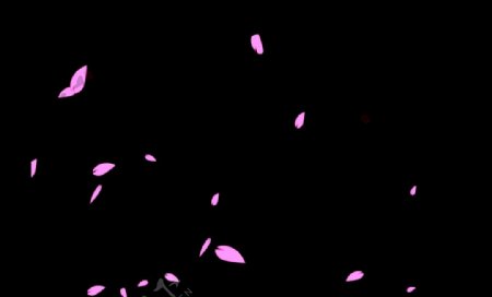 花瓣动态背景视频