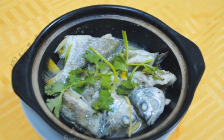 砂锅鱼