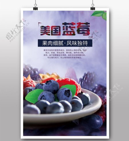 蓝莓水果海报