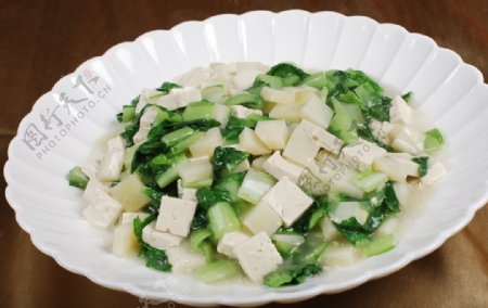 小青菜烩豆腐