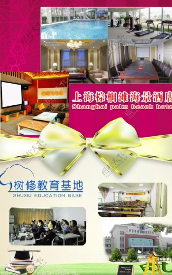 上海棕榈滩酒店树修培训基地海报