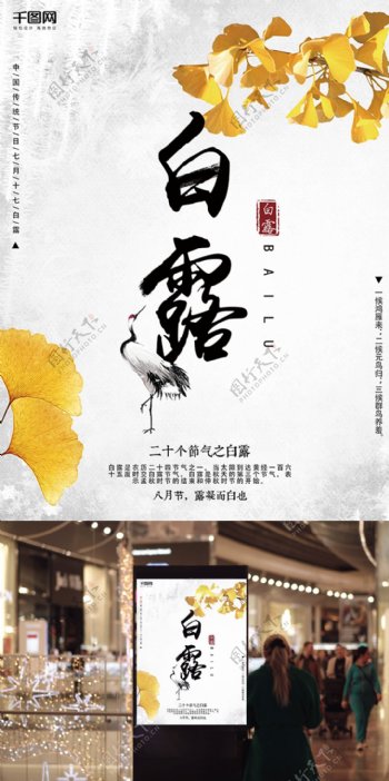中国风24二十四节气白露节日活动创意海报