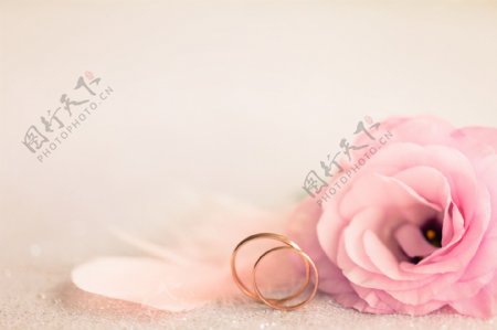 金色的戒指与花朵图片素材下载