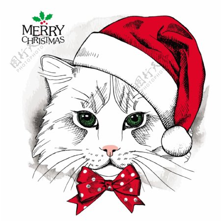 可爱猫咪动物圣诞节海报矢量