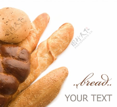 全麦面包图片