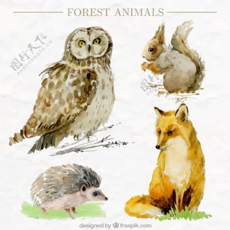4款生动彩绘森林动物矢量素材