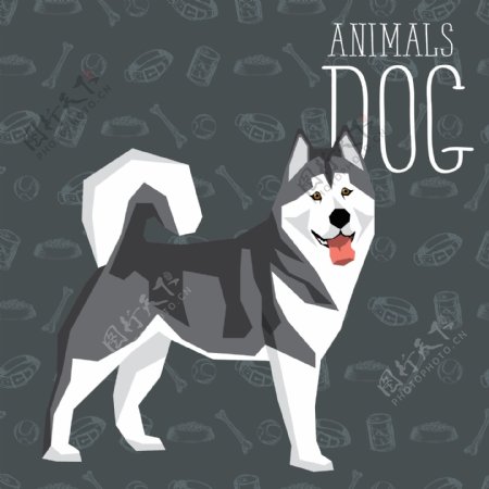 阿拉斯加卡通狗狗宠物展示矢量素材