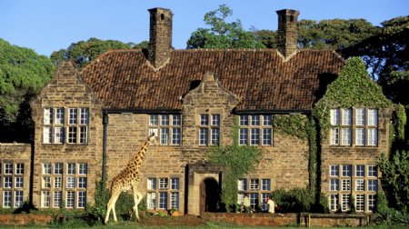 长颈鹿与庄园风景图片