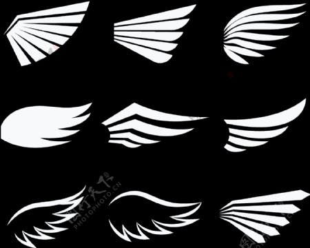 各种形状白色翅膀免抠png透明图层素材