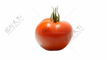 成熟完整的番茄