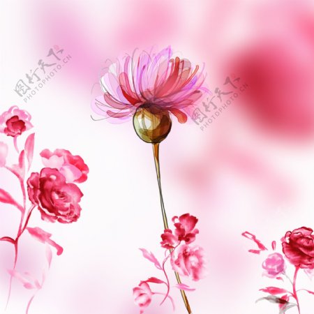 粉色花朵三联画